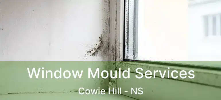  Window Mould Services Cowie Hill - NS