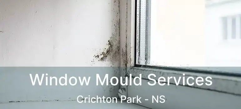  Window Mould Services Crichton Park - NS