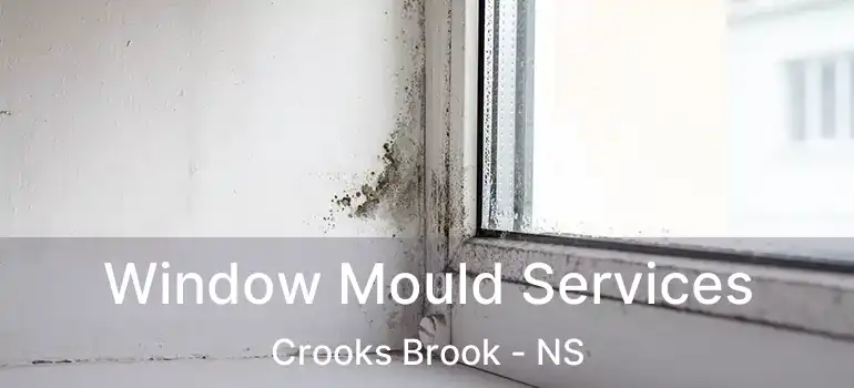  Window Mould Services Crooks Brook - NS