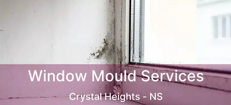  Window Mould Services Crystal Heights - NS