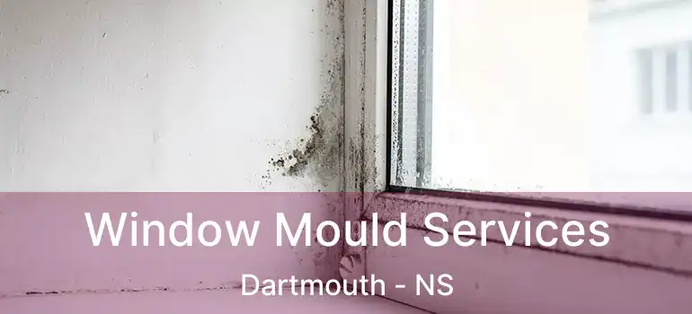  Window Mould Services Dartmouth - NS