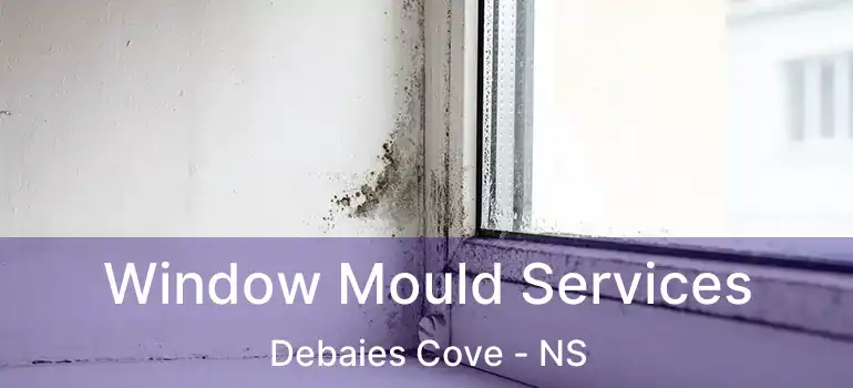  Window Mould Services Debaies Cove - NS