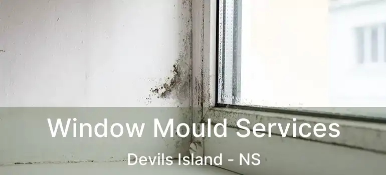  Window Mould Services Devils Island - NS