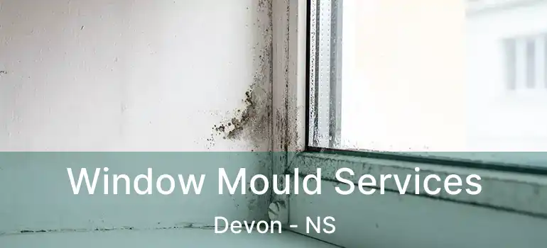  Window Mould Services Devon - NS