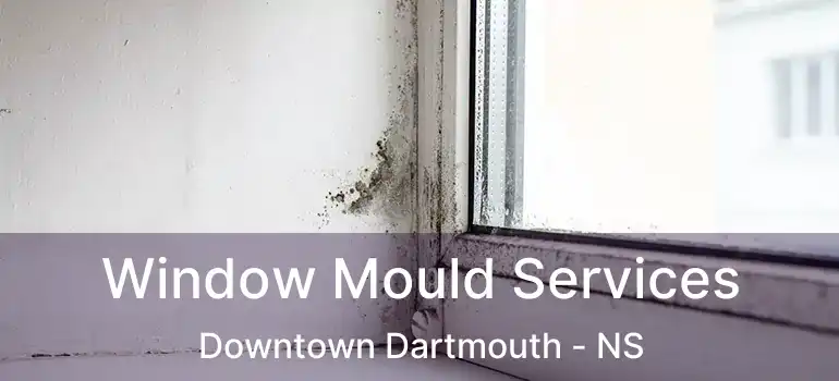  Window Mould Services Downtown Dartmouth - NS