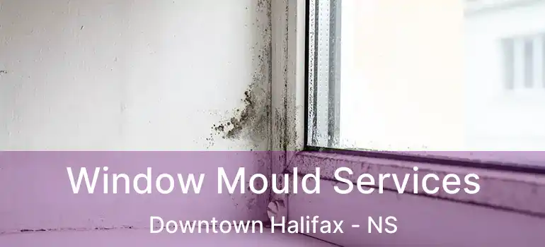  Window Mould Services Downtown Halifax - NS