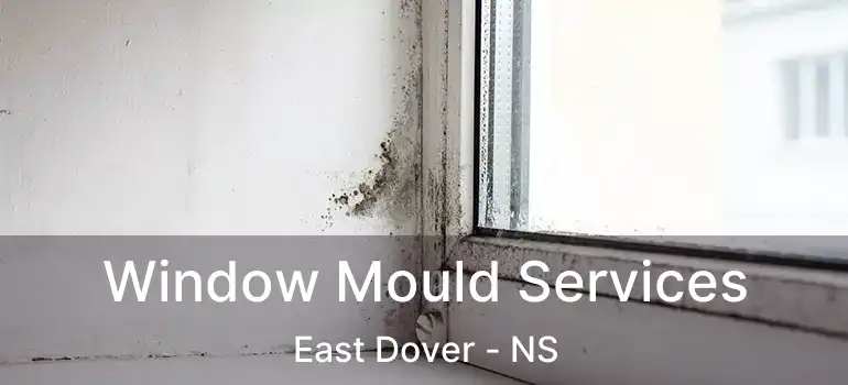  Window Mould Services East Dover - NS