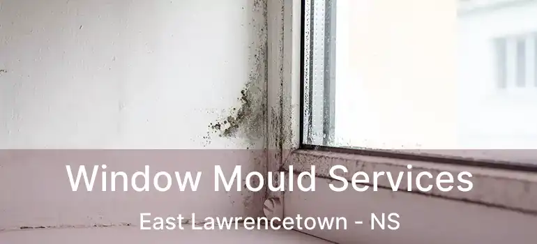  Window Mould Services East Lawrencetown - NS