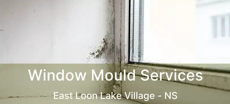  Window Mould Services East Loon Lake Village - NS