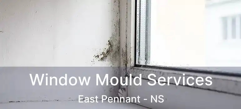  Window Mould Services East Pennant - NS