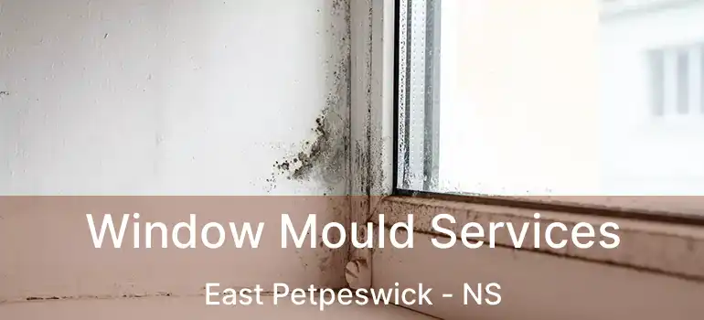  Window Mould Services East Petpeswick - NS