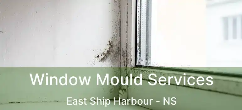  Window Mould Services East Ship Harbour - NS