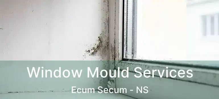  Window Mould Services Ecum Secum - NS