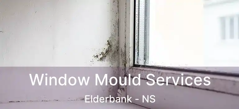  Window Mould Services Elderbank - NS