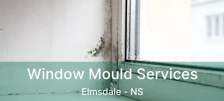  Window Mould Services Elmsdale - NS