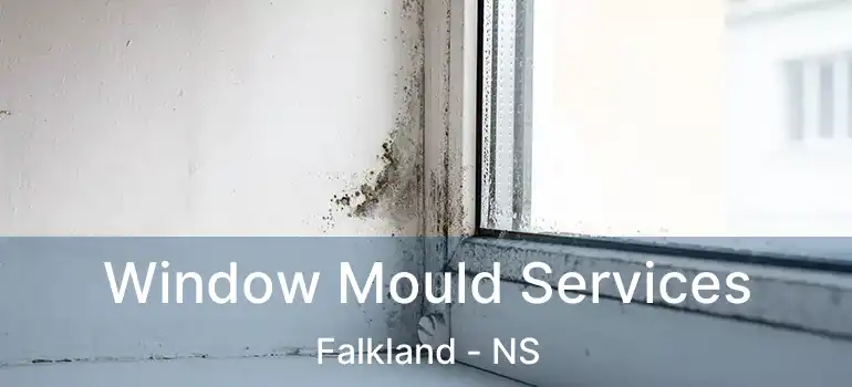  Window Mould Services Falkland - NS