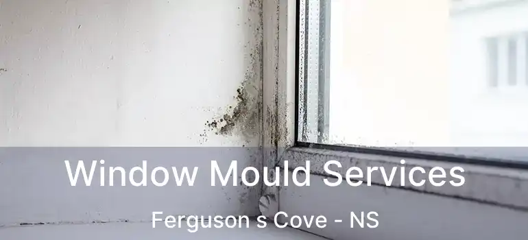  Window Mould Services Ferguson s Cove - NS