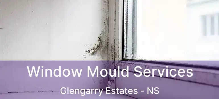  Window Mould Services Glengarry Estates - NS