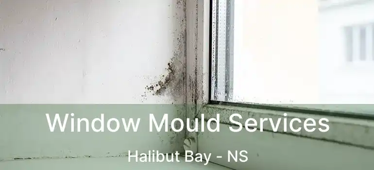  Window Mould Services Halibut Bay - NS