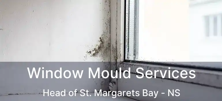  Window Mould Services Head of St. Margarets Bay - NS