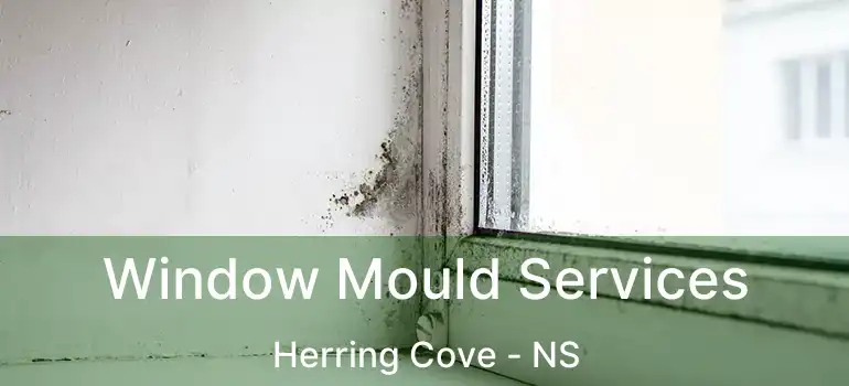  Window Mould Services Herring Cove - NS