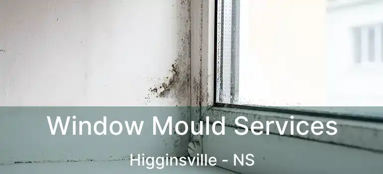  Window Mould Services Higginsville - NS