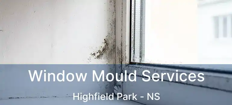  Window Mould Services Highfield Park - NS