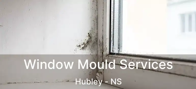  Window Mould Services Hubley - NS