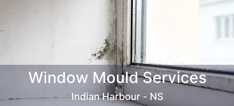  Window Mould Services Indian Harbour - NS