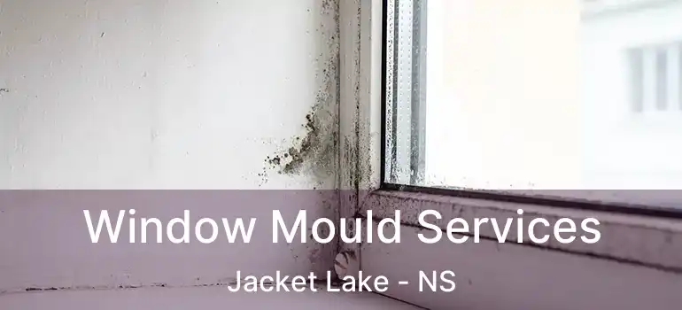  Window Mould Services Jacket Lake - NS