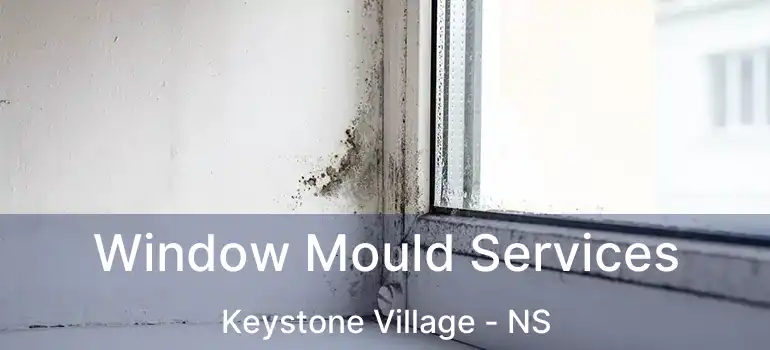  Window Mould Services Keystone Village - NS