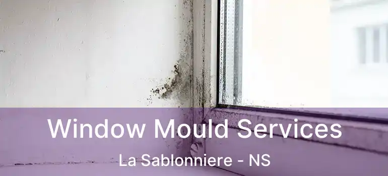  Window Mould Services La Sablonniere - NS