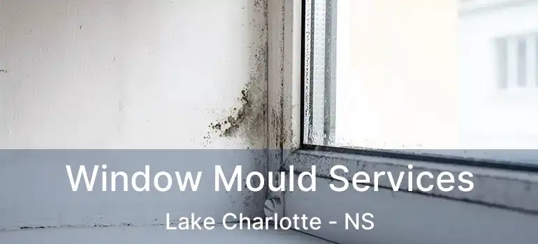  Window Mould Services Lake Charlotte - NS