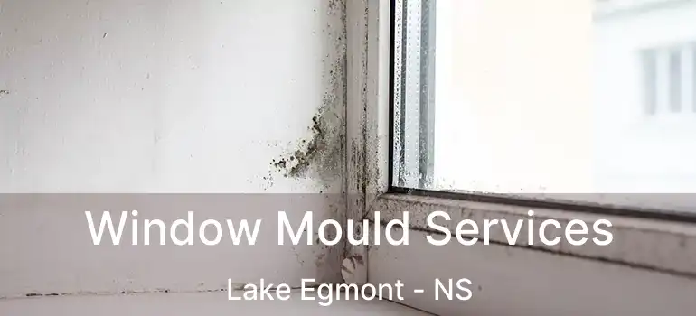  Window Mould Services Lake Egmont - NS