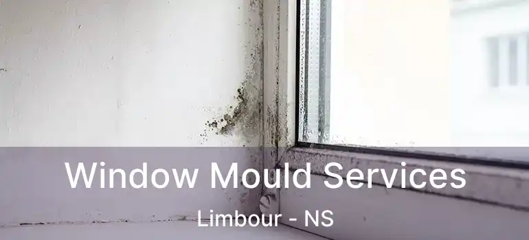  Window Mould Services Limbour - NS