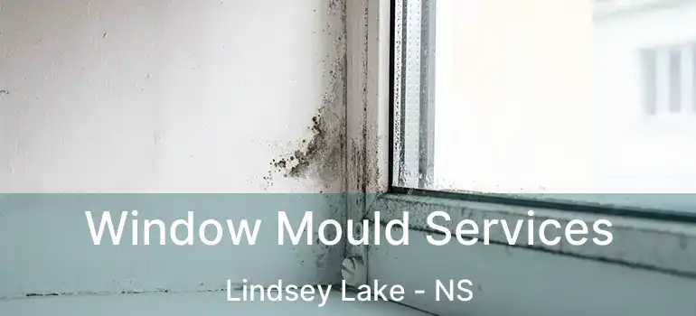  Window Mould Services Lindsey Lake - NS