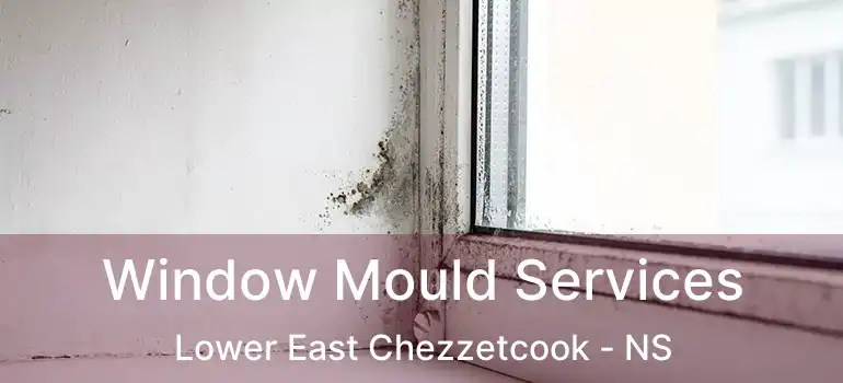  Window Mould Services Lower East Chezzetcook - NS