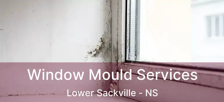  Window Mould Services Lower Sackville - NS