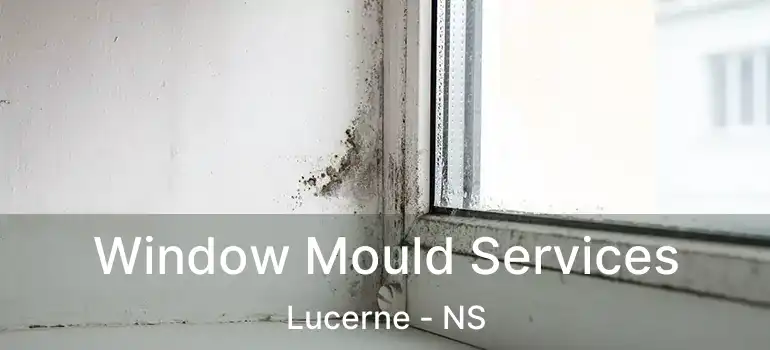  Window Mould Services Lucerne - NS