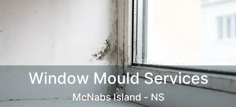  Window Mould Services McNabs Island - NS