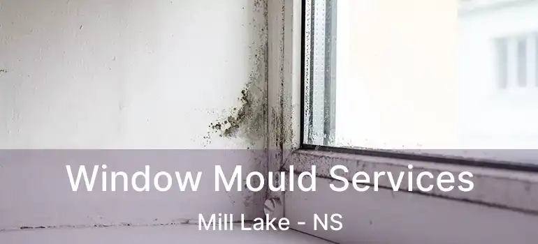  Window Mould Services Mill Lake - NS