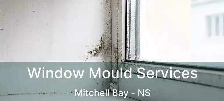  Window Mould Services Mitchell Bay - NS