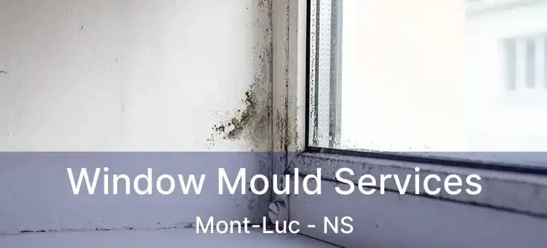  Window Mould Services Mont-Luc - NS