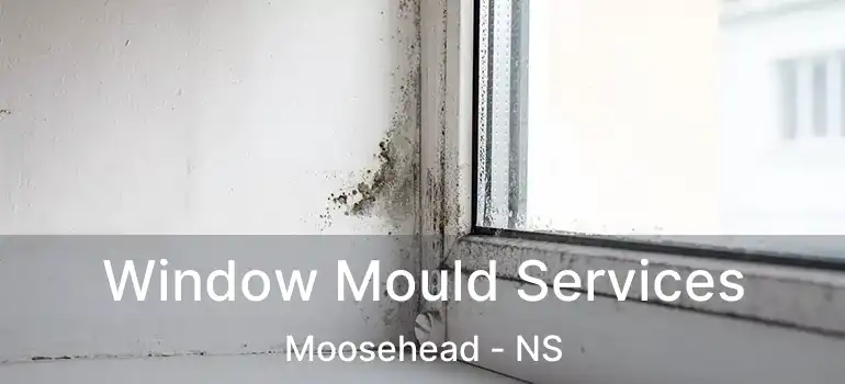  Window Mould Services Moosehead - NS