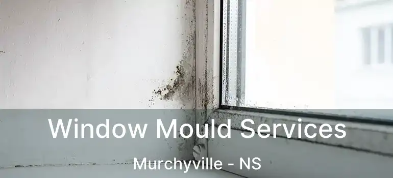  Window Mould Services Murchyville - NS