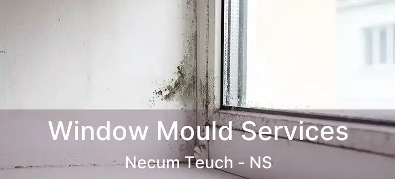  Window Mould Services Necum Teuch - NS