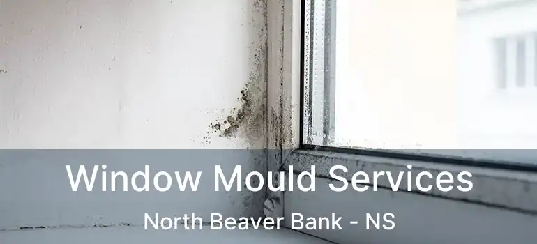  Window Mould Services North Beaver Bank - NS