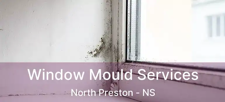  Window Mould Services North Preston - NS