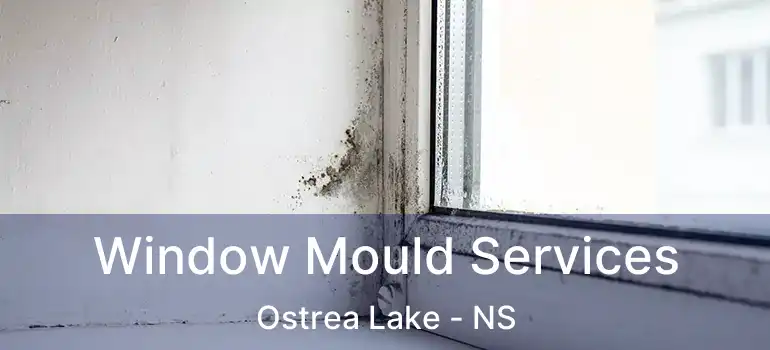  Window Mould Services Ostrea Lake - NS