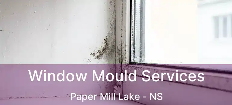  Window Mould Services Paper Mill Lake - NS